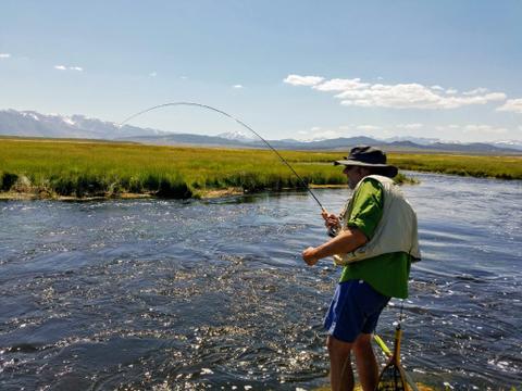 Fly fisherman fighting a nice trout with his piscifun fly fishing combo - piscifun reels review