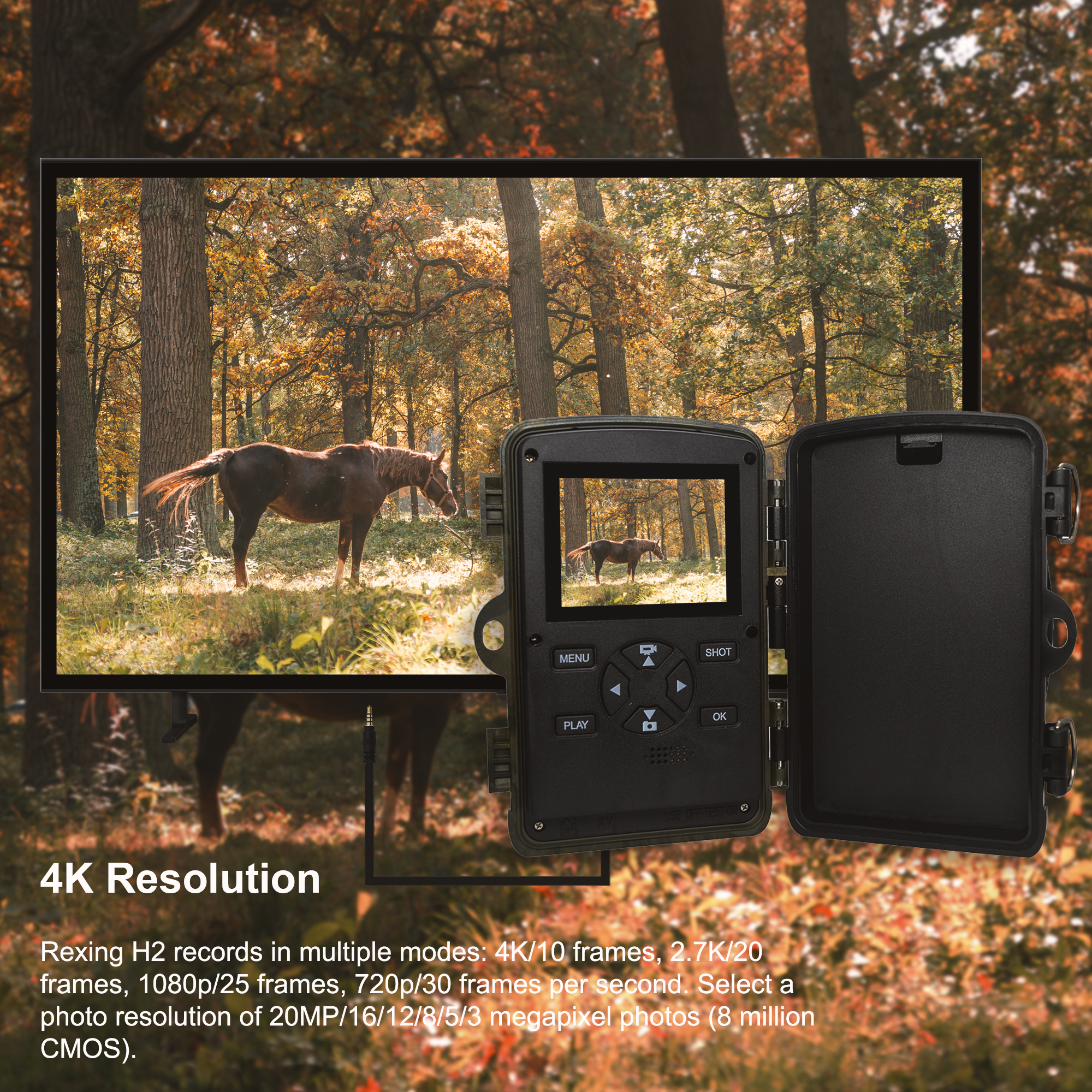 REXING USA Woodlens H2 trail camera with 4K resolution