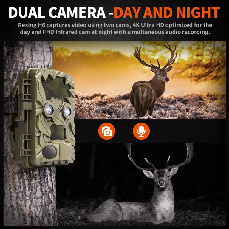 REXING USA Trail Cameras 4 Great Options - The Beach Angler