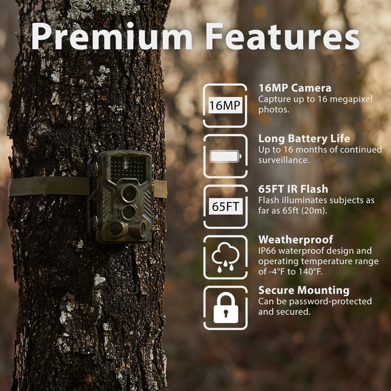 REXING USA Woodlens H1 trail camera features