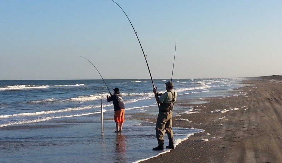 Surf fishing FAQ - couple of fisherman fighting fish in the surf
