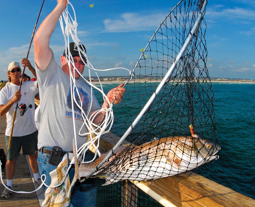 Beach Fishing vs Pier Fishing 2 Great Options - The Beach Angler