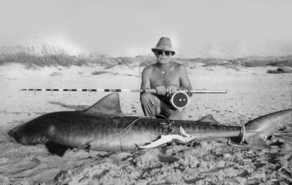 Captain Billy Sandifer with a big tiger shark caught on Padre Island. 