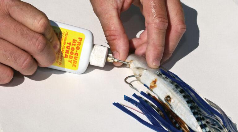 Scents And Attractants For Saltwater Fishing Great Tools To Catch