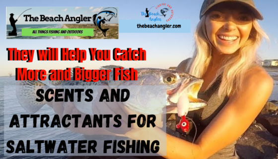 Scents and Attractants for Saltwater Fishing 2 Great Tools to