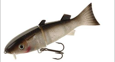 D.O.A. Lures Big Fish Lure