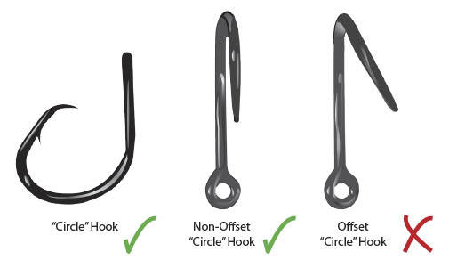 inline vs offset circle hooks