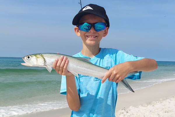 How to catch ladyfish - young angler with a nice surf caught ladyfish