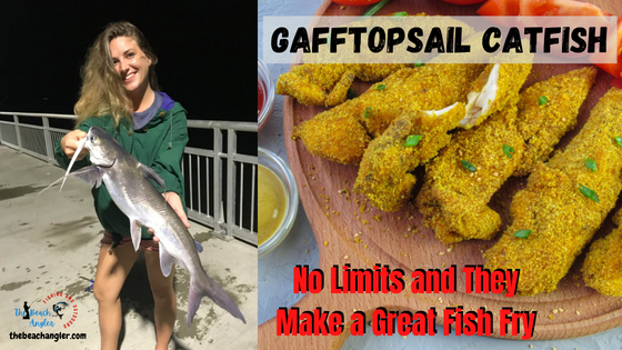 Gafftop Catfish - Lady with a nice gafftopsail catfish and a plate of fried gafftop fillets
