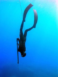 spearfishing for beginners - free diving spearfisherman