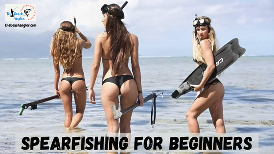 spearfishing for beginners featured image - three bikini clad young ladies wading into the water with their spearfishing gear.