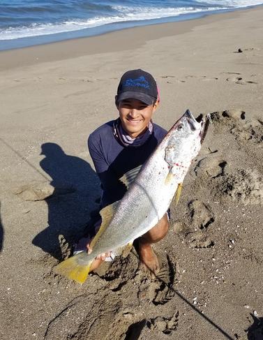 surf fishing in mexico - surf angler with a large mexico corvina caught from the beach in mexico
