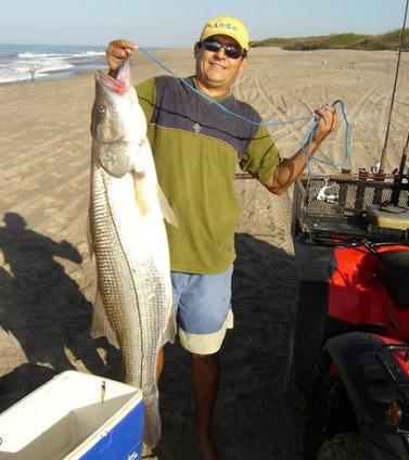 surf fishing in Mexico - surf fisherman with a very large snook caught from the beach