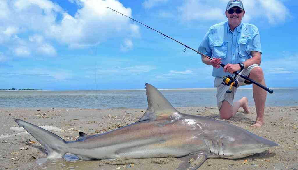 Surf Fishing North Carolina - Angler with a big shark caught from the North Carolina Surf