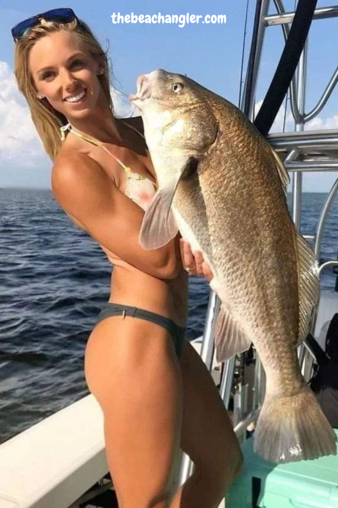 how to catch black drum - bikini clad lady angler holding up a very nice black drum