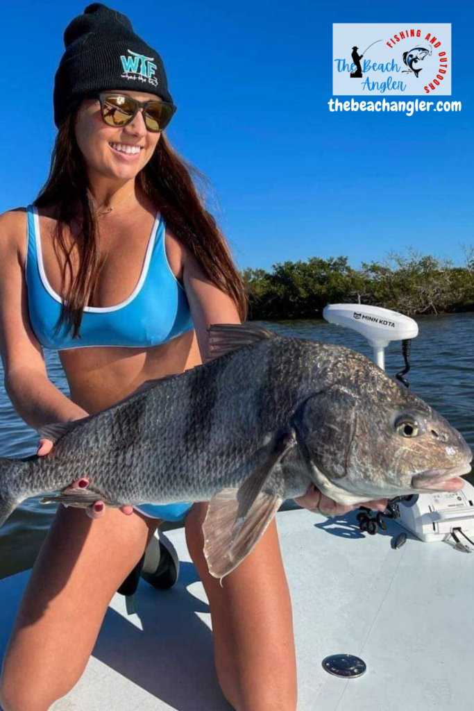 How to catch black drum - lady angler with a nice upper slot black drum