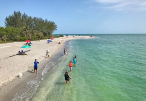 Best Surf Fishing in Florida 13 of the Top Beach Fishing Destinations