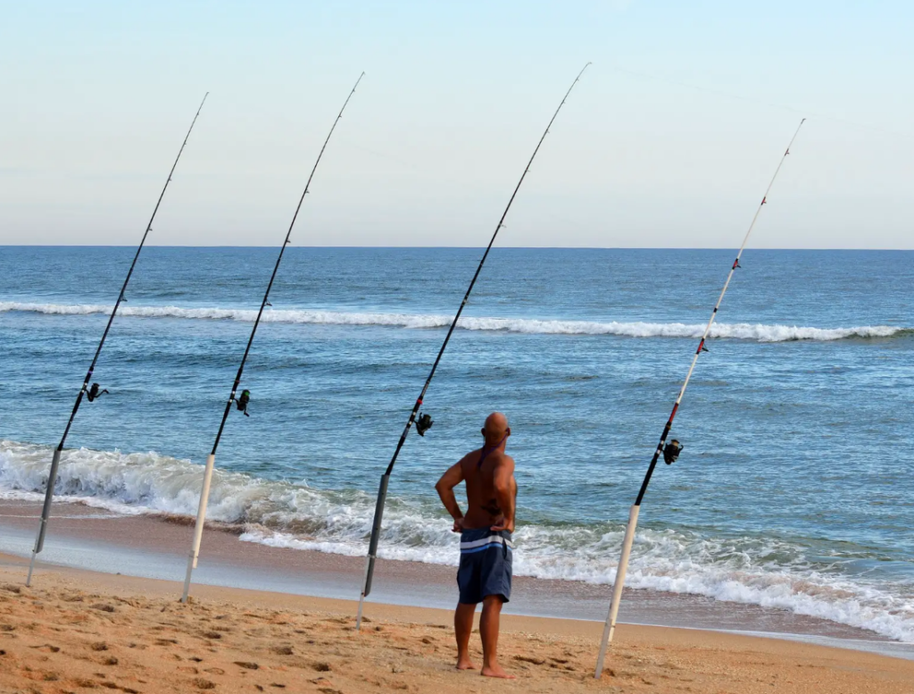 surf fisherman with his llines out and poles in sand spike rod holders waiting on the next bite