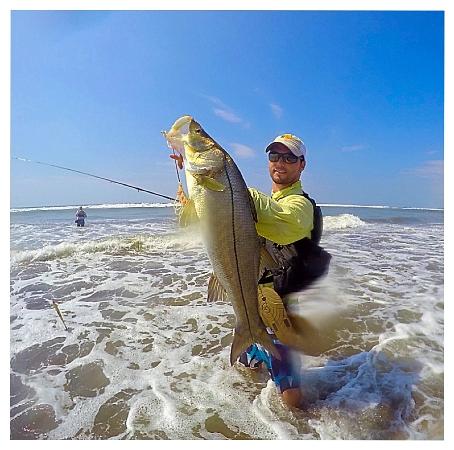 Angler standing in the surf holding a nice snook caught Beach fishing Costa Rica