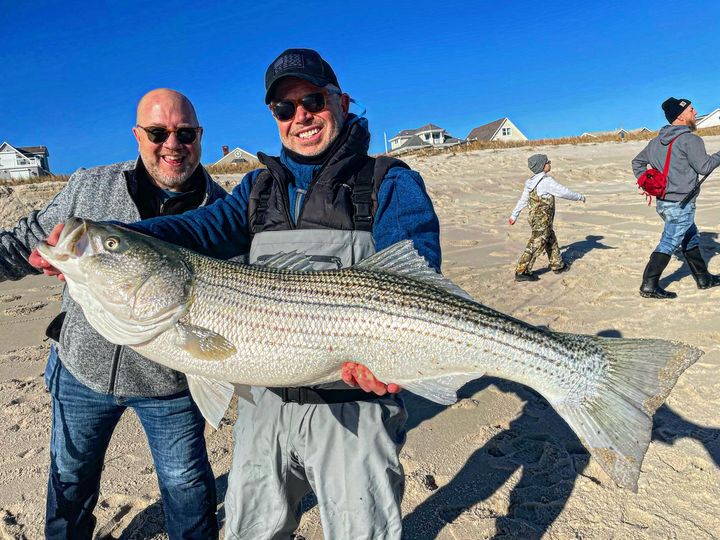 Surf fishing for stripers - couple of surf fisherman holding a very large striper