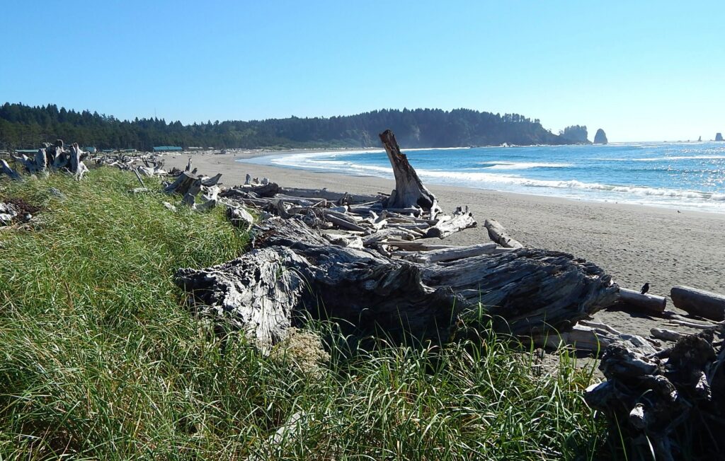 La Push Beach Washington - surf fishing the Washington coast