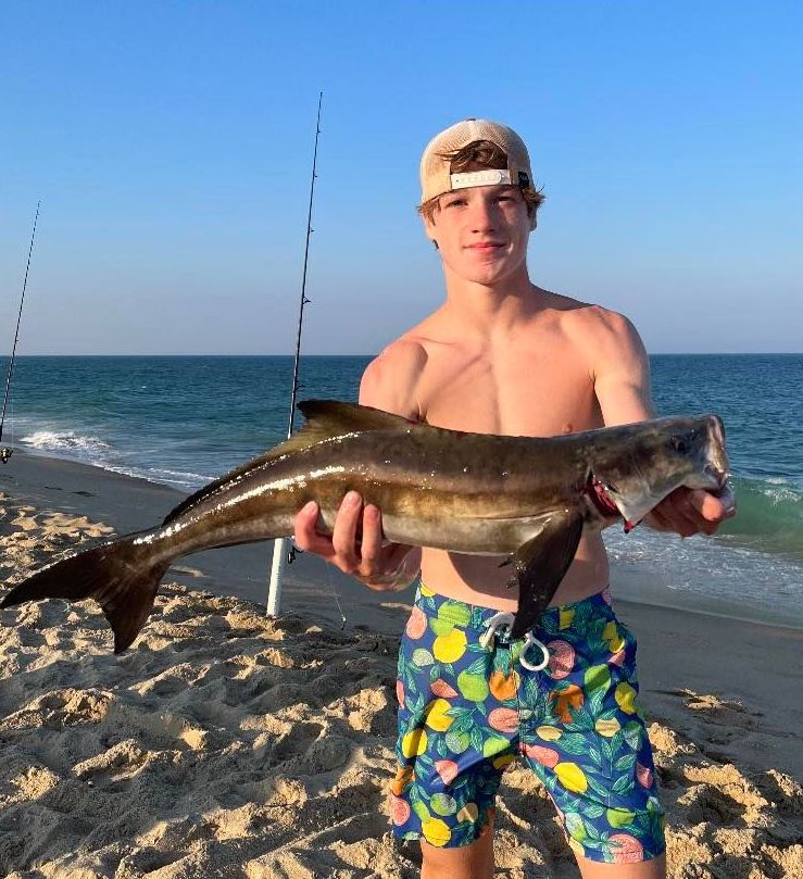 Surf angler holding a nice cobia caught from the Montauk surf