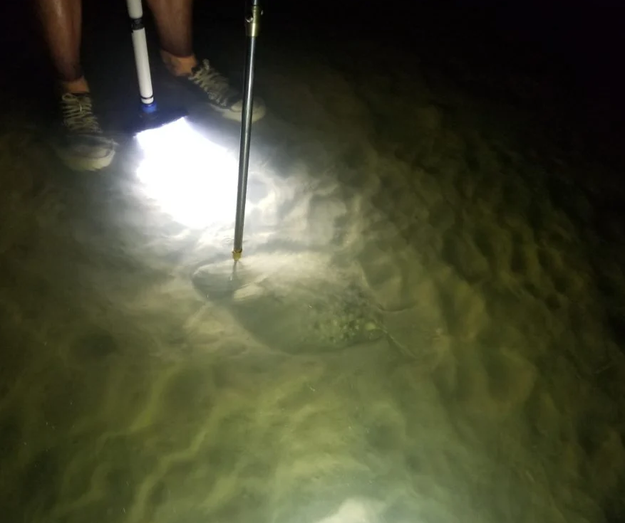 Flounder gigging with underwater light and a nice flounder gigged while surf fishing for flounder