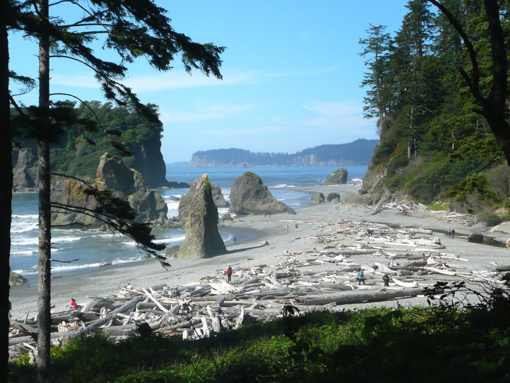 Ruby Beach Washington - surf fishing the Washington coast