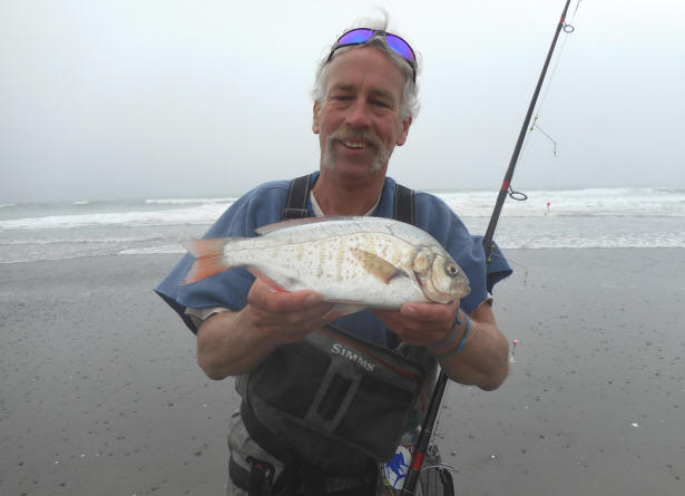 Surf Perch surf fishing the Washington Coast