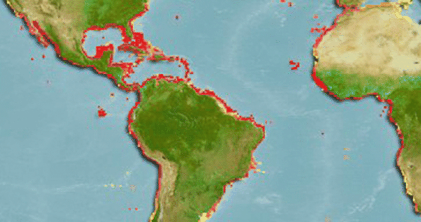 Range habitat map for the two species of tarpon. 