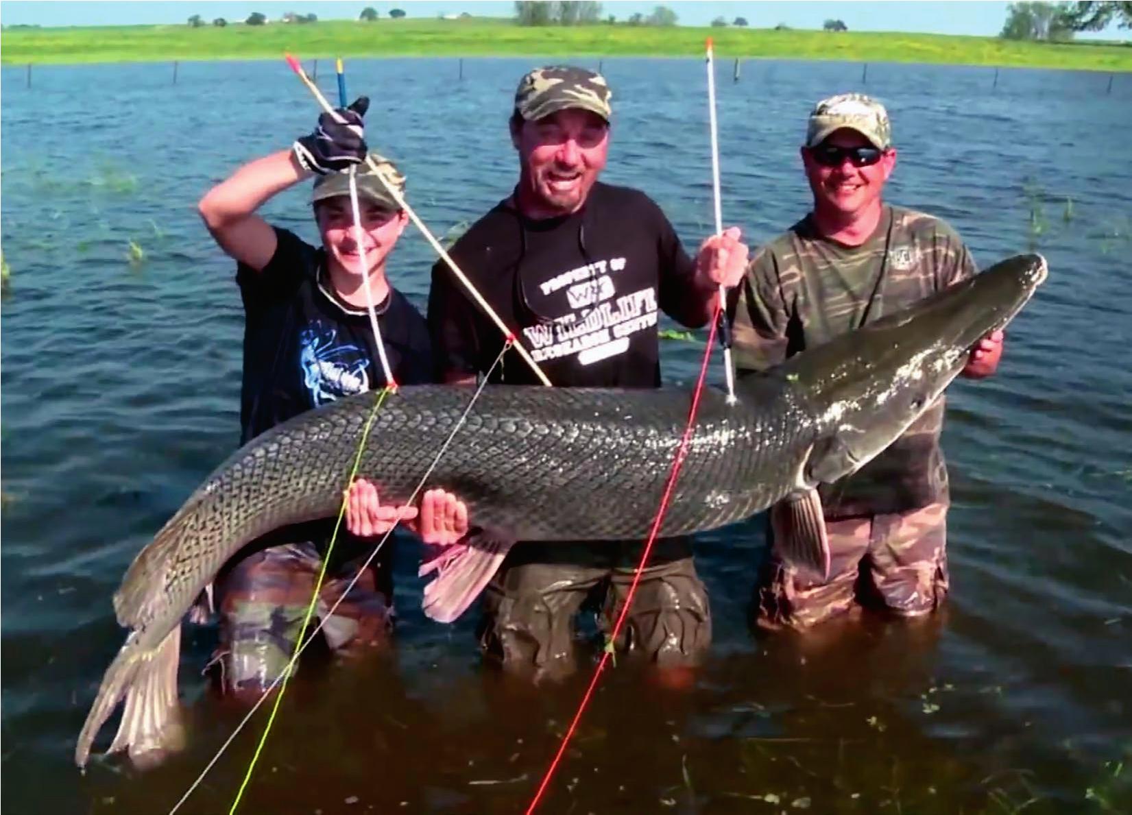 Fishing for Alligator Gar: 11 Expert Tips to Mastering the Art of ...