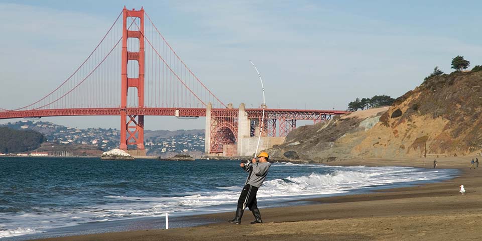 Surf angler hooked up with a fish on Baker Beach California with the Golden Gate Bridge in the background