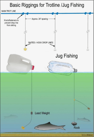 diagram of juglines and trotlines - fishing for alligator gar