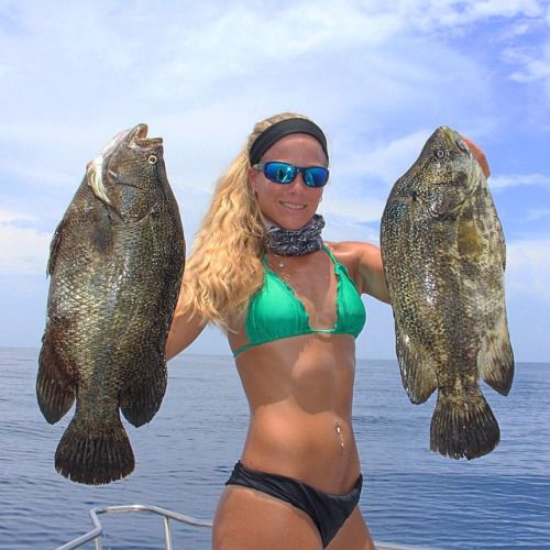 darcizzle offshore holding up a pair of nice tripletail fish