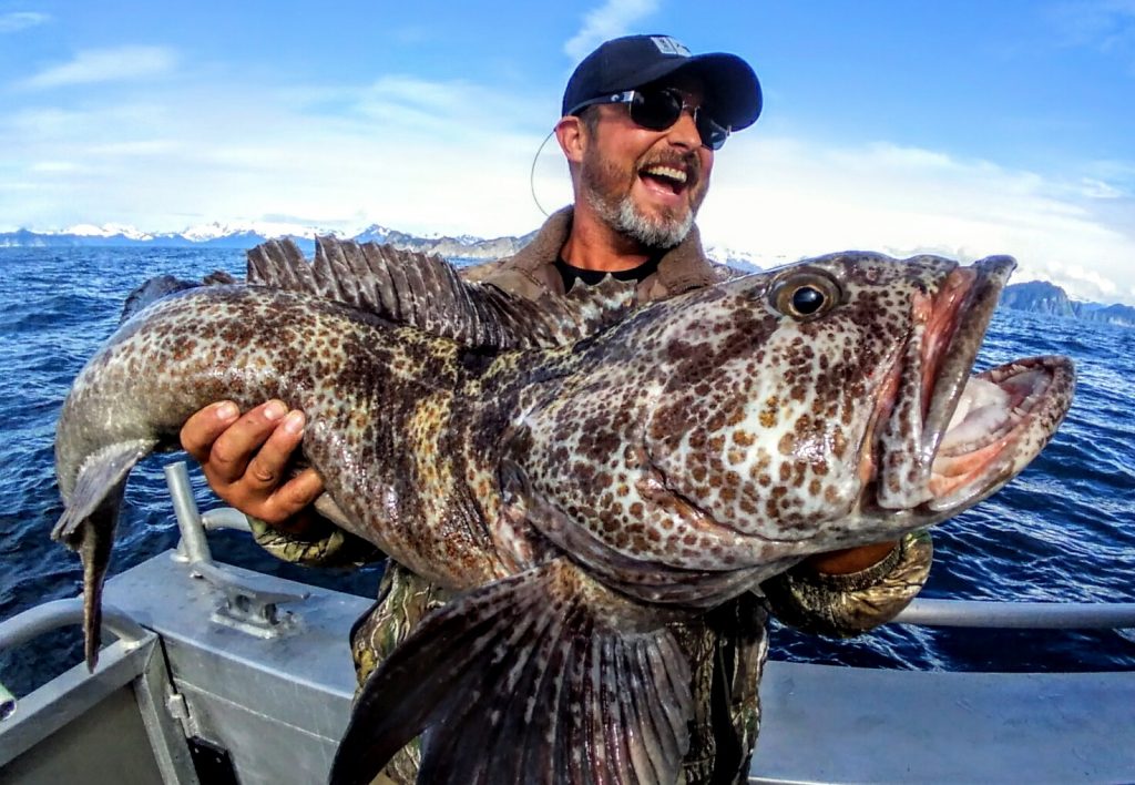 Angler holding a very large lingcod caught fishing in Alaska
