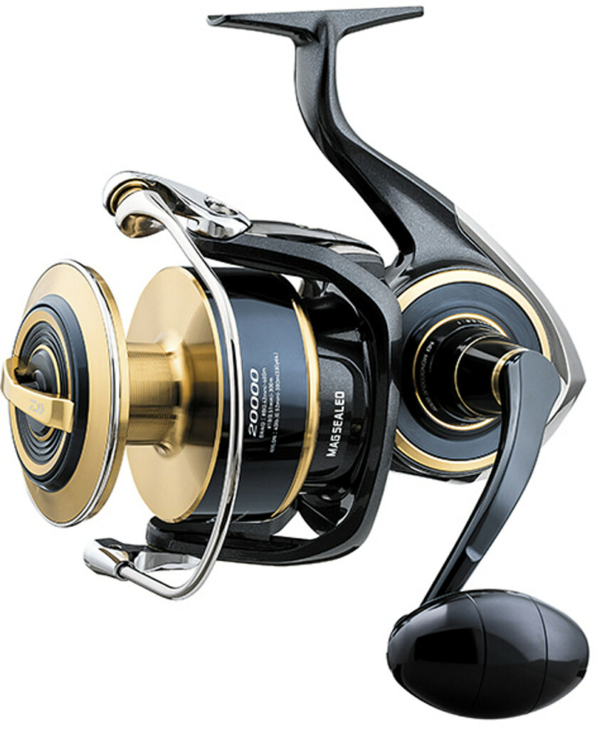 Freshwater and Saltwater Reels