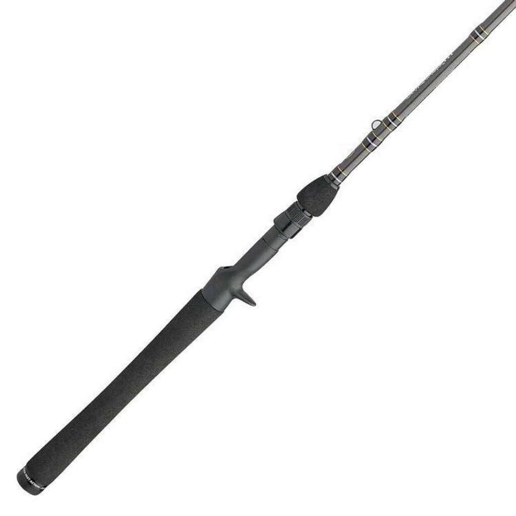 saltwater fishing rods - Penn Carnage casting rods