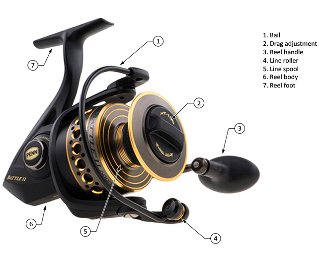 The Reel Deal: How to Select, Use, and Maintain Your Saltwater
