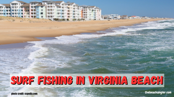Surf fishing in Virginia Beach featured image - photo taken while wading in the surf and looking back at the beach and beach houses