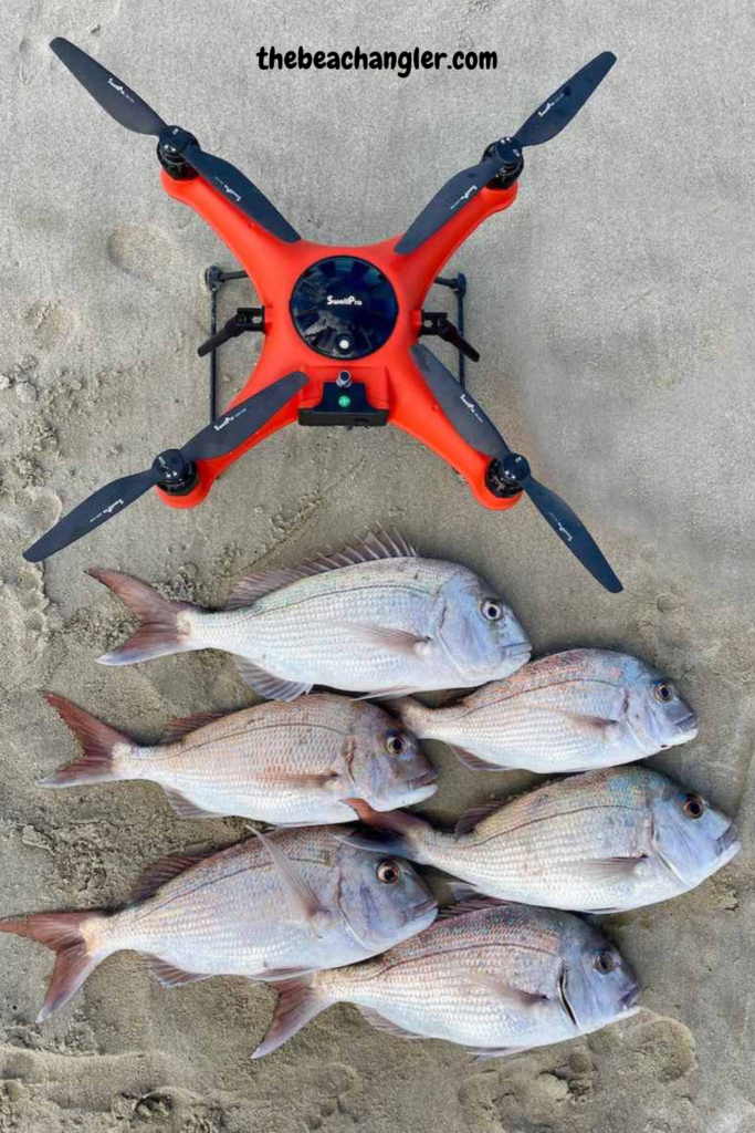 The SwellPro Fisherman FD3 fishing drone on the beach with six snapper that were caught using the drone to drop baits offshore