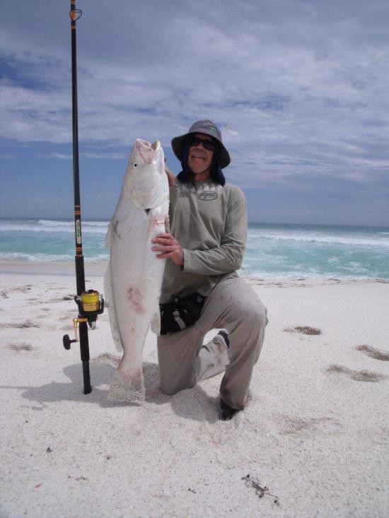 Surf Fishing in Australia - Angler kneeling on the beach next to his rod and reel holding a large Jewie caught while surf fishing