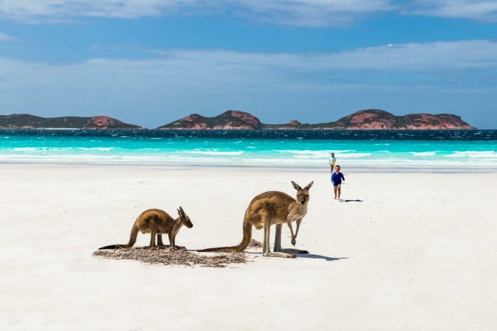 Kids and Kangaroos on the beach in Australia