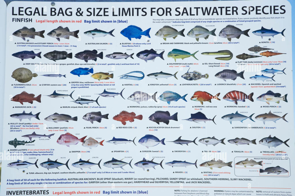 Surf Fishing in Australia - Common fish species and bag limits chart