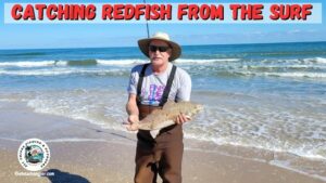 Catching redfish from the surf featured image - Ken Kuhn holding a nice slot redfish caught from the Padre Island surf