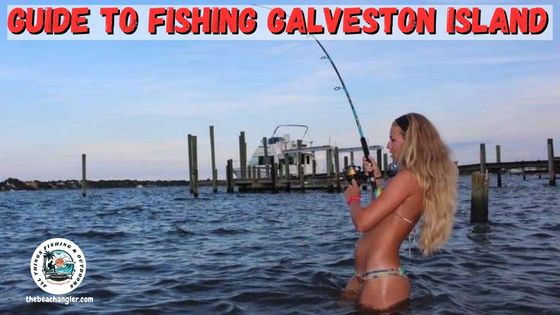 Guide to Fishing Galveston Island - Lady angler hooked up while wade fishing Galveston Island
