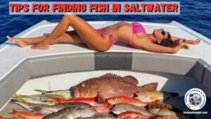 Bikini-clad lady angler reclining on the bow of a boat with an assortment of saltwater fish lining the bottom of the boat.