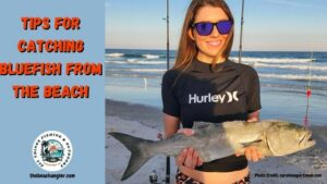 Catching Bluefish from the Beach - A Lady angler standing on the beach holding up a nice surf-caught bluefish.