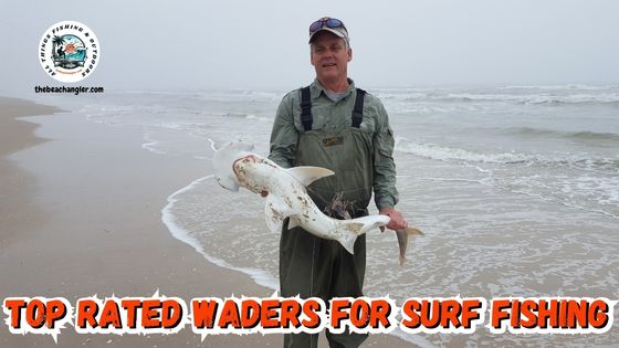 Surf fishing waders - Author holding a shark caught in the winter time surf while wearing a pair of breathable waders.