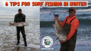 Surf Fishing in Winter - Ken Kuhn with a bull red drum and the author with an oversized black drum caught surf fishing in winter