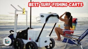 Surf fishing carts - image of lady sitting on the beach beside her surf fishing cart